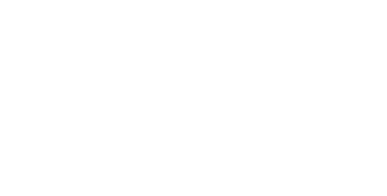 PepLink 1